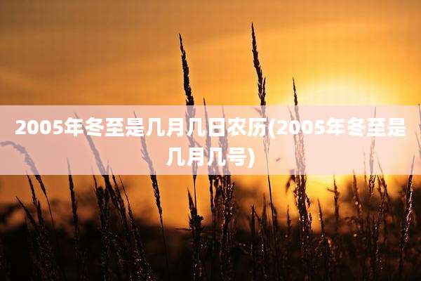 2005年冬至是几月几日农历(2005年冬至是几月几号)