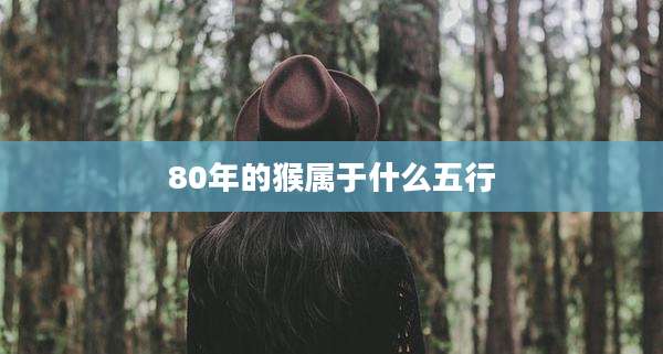 80年的猴属于什么五行