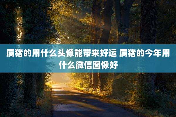 属猪的用什么头像能带来好运 属猪的今年用什么微信图像好