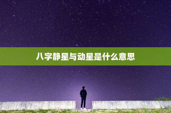 八字静星与动星是什么意思