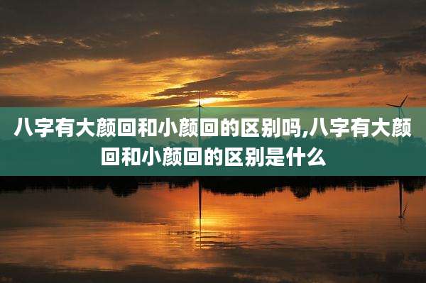 八字有大颜回和小颜回的区别吗,八字有大颜回和小颜回的区别是什么