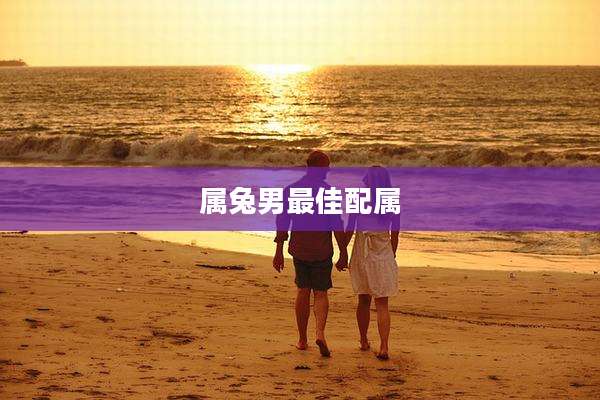 属兔男最佳配属