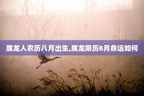 属龙人农历八月出生,属龙阴历8月命运如何