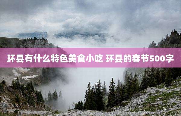 环县有什么特色美食小吃 环县的春节500字