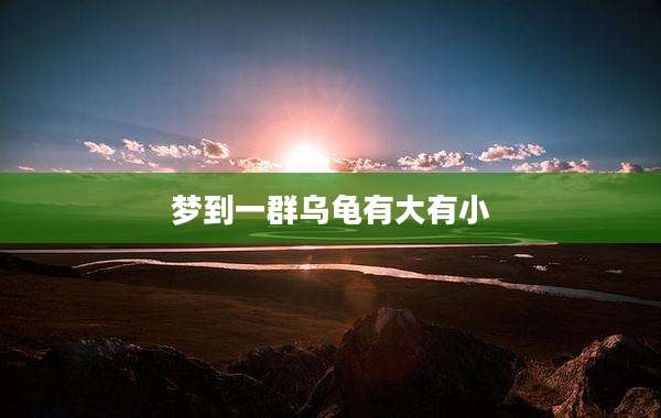 梦到一群乌龟有大有小