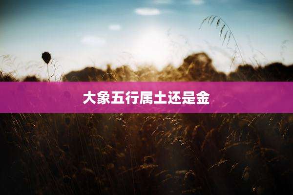 大象五行属土还是金