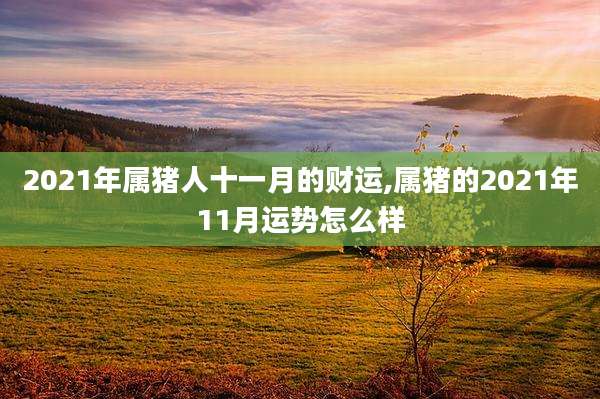 2021年属猪人十一月的财运,属猪的2021年11月运势怎么样