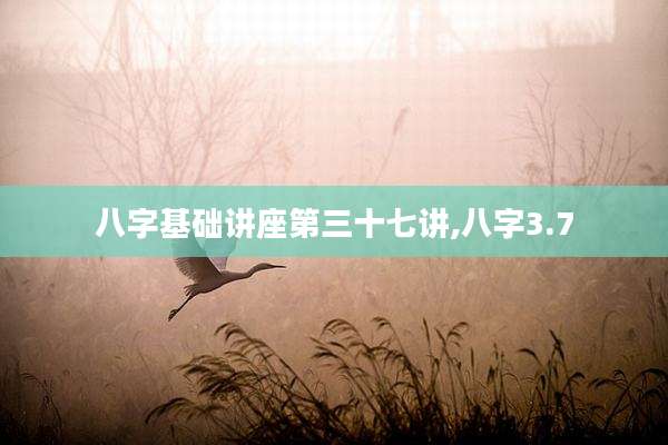 八字基础讲座第三十七讲,八字3.7