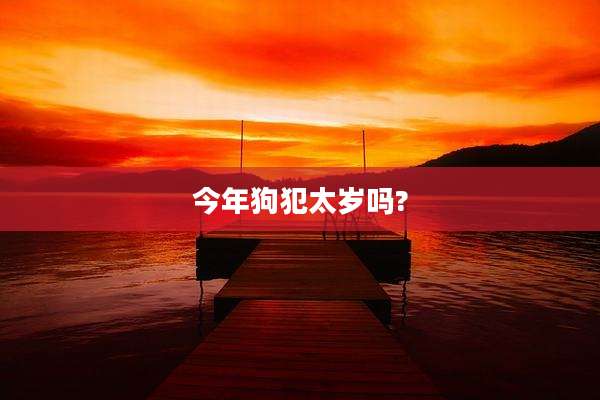 今年狗犯太岁吗?