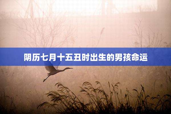 阴历七月十五丑时出生的男孩命运