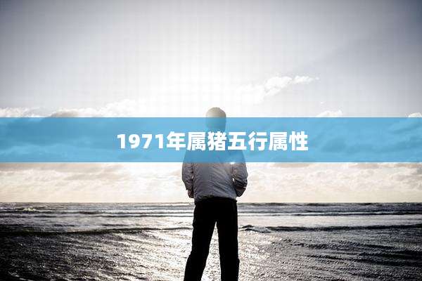 1971年属猪五行属性