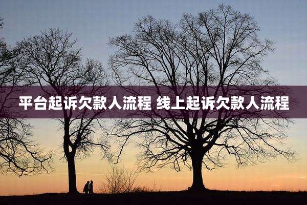 平台起诉欠款人流程 线上起诉欠款人流程