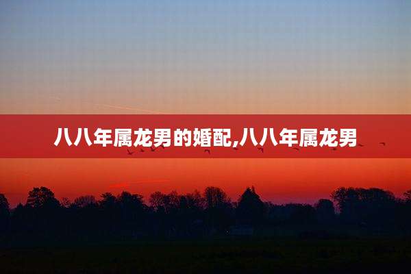 八八年属龙男的婚配,八八年属龙男