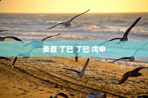 癸酉 丁巳 丁巳 戊申