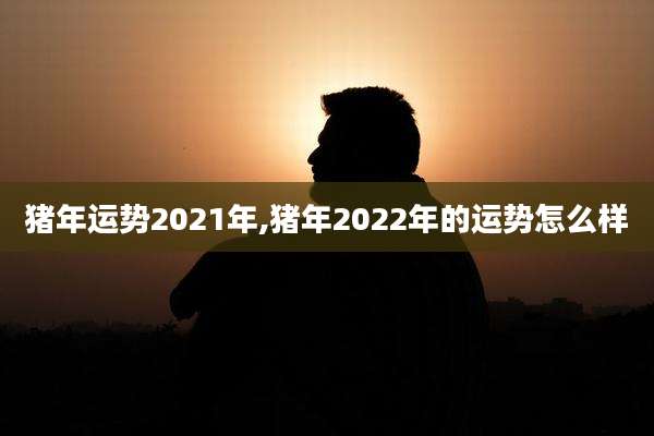 猪年运势2021年,猪年2022年的运势怎么样
