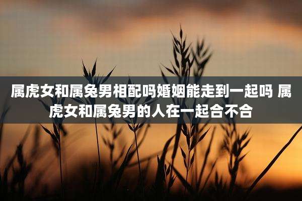 属虎女和属兔男相配吗婚姻能走到一起吗 属虎女和属兔男的人在一起合不合