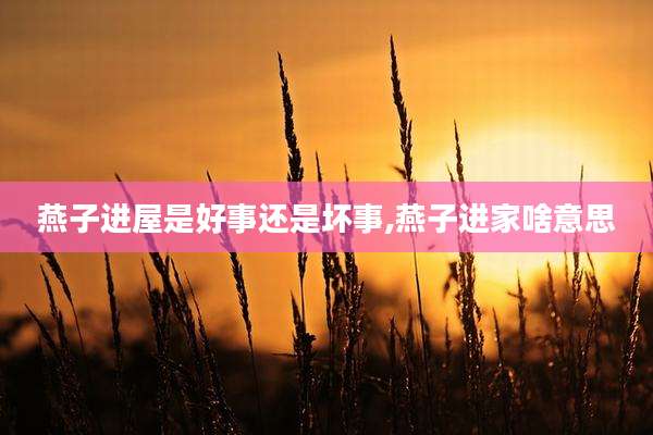燕子进屋是好事还是坏事,燕子进家啥意思