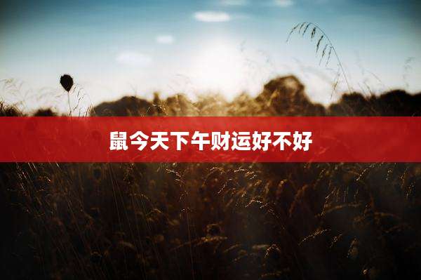 鼠今天下午财运好不好