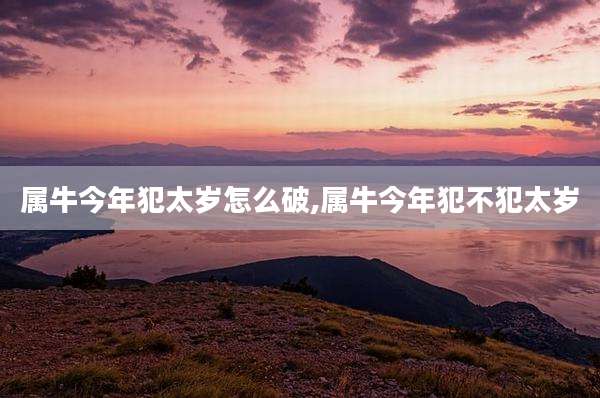属牛今年犯太岁怎么破,属牛今年犯不犯太岁