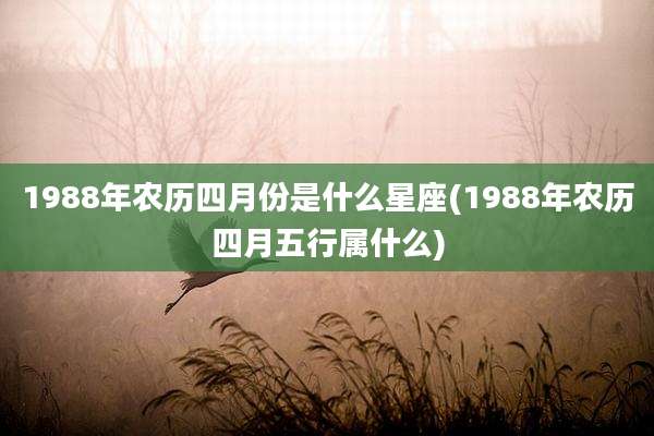 1988年农历四月份是什么星座(1988年农历四月五行属什么)