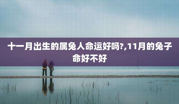 十一月出生的属兔人命运好吗?,11月的兔子命好不好