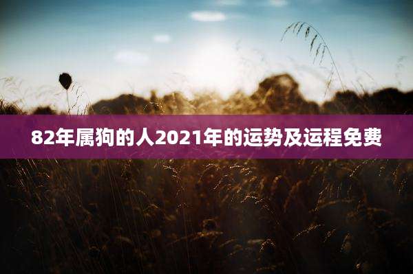 82年属狗的人2021年的运势及运程免费