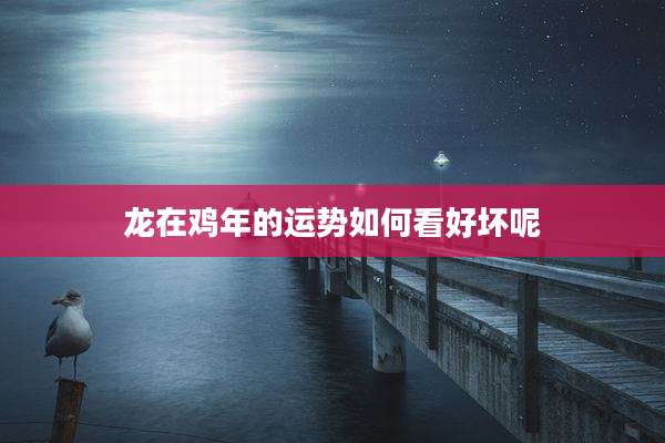 龙在鸡年的运势如何看好坏呢