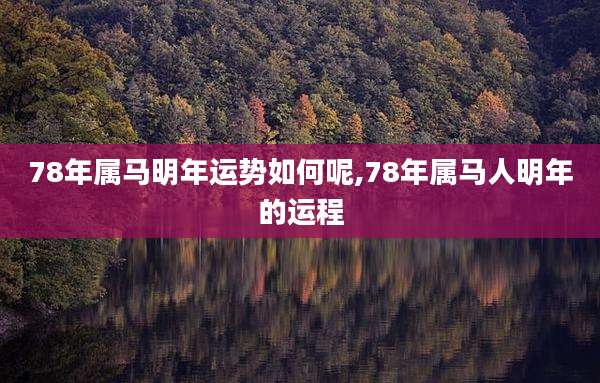 78年属马明年运势如何呢,78年属马人明年的运程