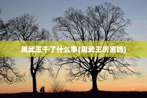 周武王干了什么事(周武王厉害吗)
