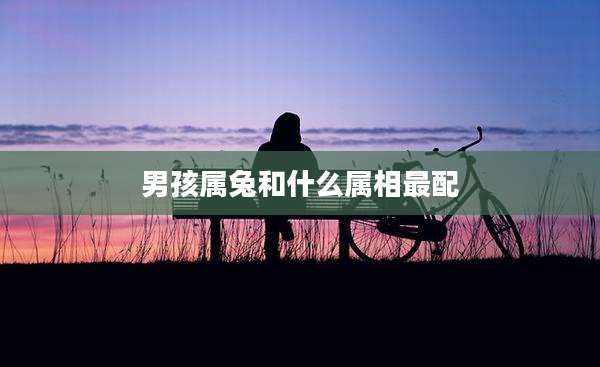 男孩属兔和什么属相最配