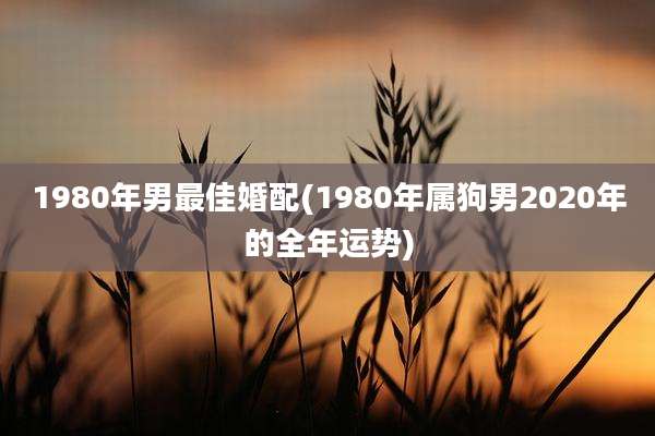 1980年男最佳婚配(1980年属狗男2020年的全年运势)