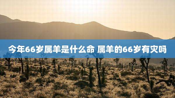 今年66岁属羊是什么命 属羊的66岁有灾吗
