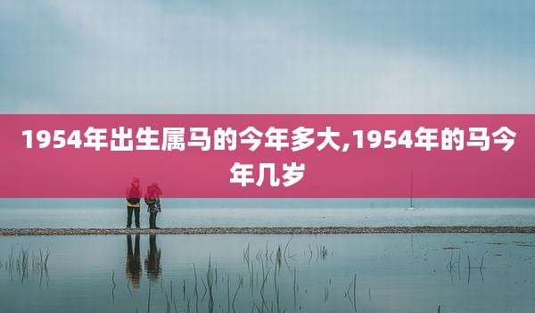 1954年出生属马的今年多大,1954年的马今年几岁