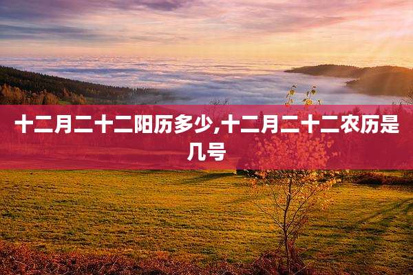十二月二十二阳历多少,十二月二十二农历是几号