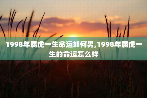 1998年属虎一生命运如何男,1998年属虎一生的命运怎么样