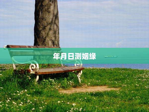 年月日测姻缘