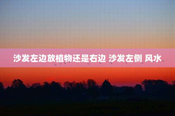 沙发左边放植物还是右边 沙发左侧 风水