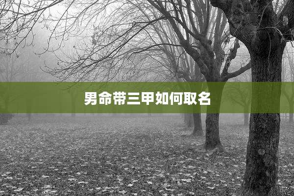 男命带三甲如何取名