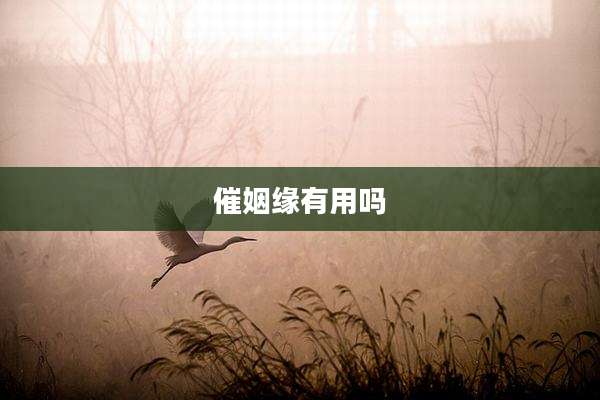 催姻缘有用吗