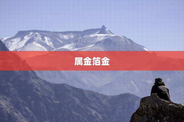 属金箔金