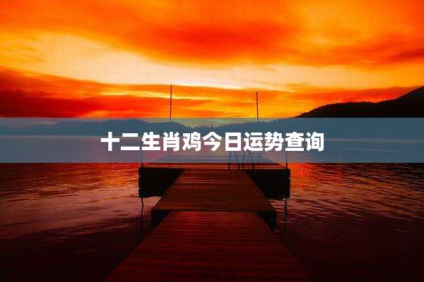十二生肖鸡今日运势查询