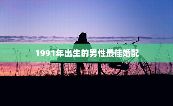 1991年出生的男性最佳婚配