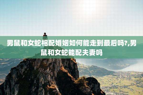 男鼠和女蛇相配婚姻如何能走到最后吗?,男鼠和女蛇能配夫妻吗