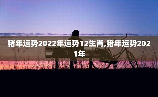 猪年运势2022年运势12生肖,猪年运势2021年