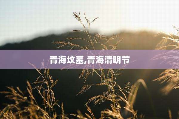 青海坟墓,青海清明节