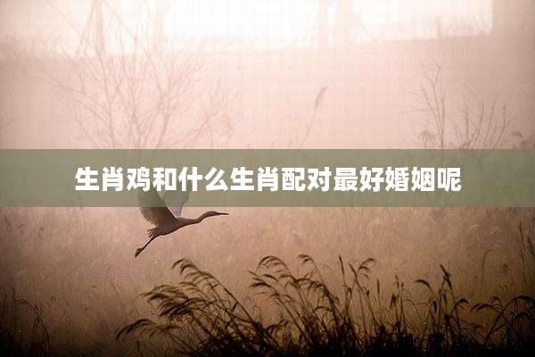 生肖鸡和什么生肖配对最好婚姻呢