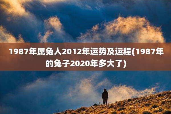 1987年属兔人2012年运势及运程(1987年的兔子2020年多大了)