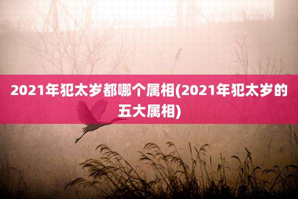 2021年犯太岁都哪个属相(2021年犯太岁的五大属相)