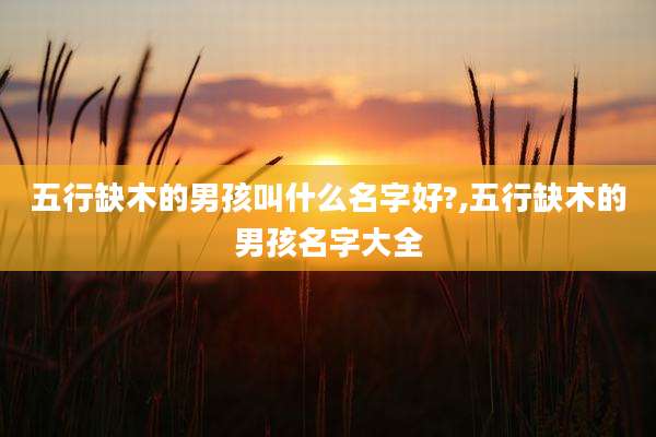 五行缺木的男孩叫什么名字好?,五行缺木的男孩名字大全