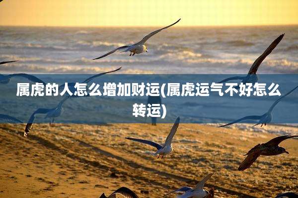 属虎的人怎么增加财运(属虎运气不好怎么转运)